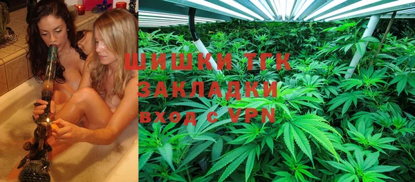 эйфоретик Корсаков