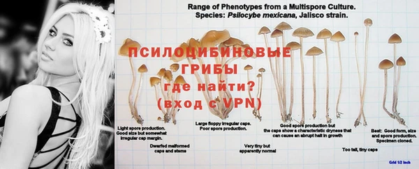 эйфоретик Куйбышев