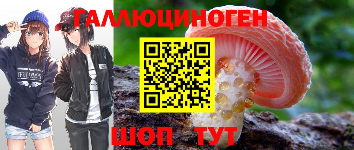 Галлюциногенные грибы прущие грибы  Псилоцибиновые грибы прущие грибы  Малгобек  Вход с VPN 