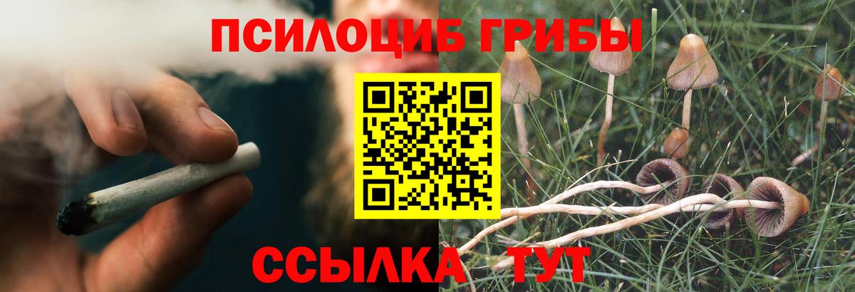 Псилоцибиновые грибы мухоморы Малгобек